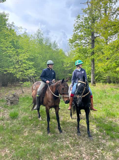 Private Horse Ride experience - The 20-minute safety briefing in Chantilly
