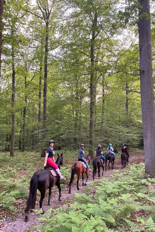 Private Horse Ride experience - What the $187 price really buys you