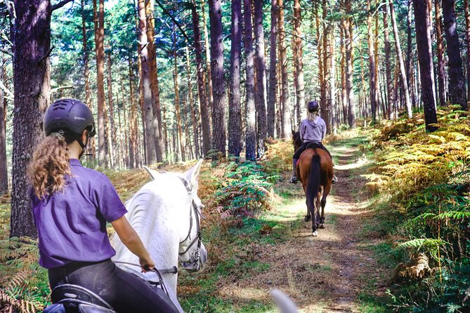 Private Horse Ride in Madrid natural park reserve - Key points to know before booking