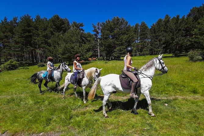 Private Horse Ride in Madrid natural park reserve - From Madrid streets to Los Molinos in about 45 minutes