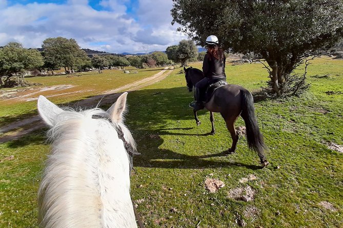 Private Horse Ride in Madrid natural park reserve - What the two to three-hour route feels like