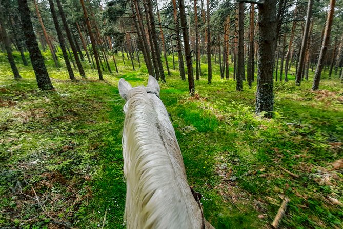 Private Horse Ride in Madrid natural park reserve - Who should book this ride