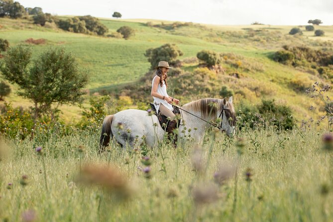 Private Horse Riding Adventure in Tbilisi - What the one-hour route is like