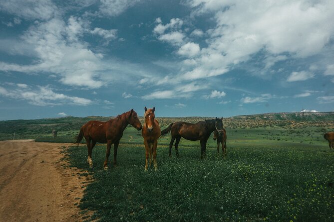 Private Horse Riding Adventure in Tbilisi - The value of a private ride at $49