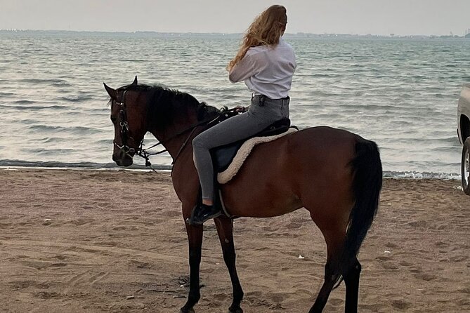 Private Horse Riding Experience at Red Sea - The Dahban Beach sunset