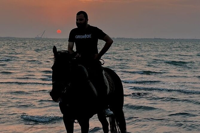 Private Horse Riding Experience at Red Sea - Why the private format matters