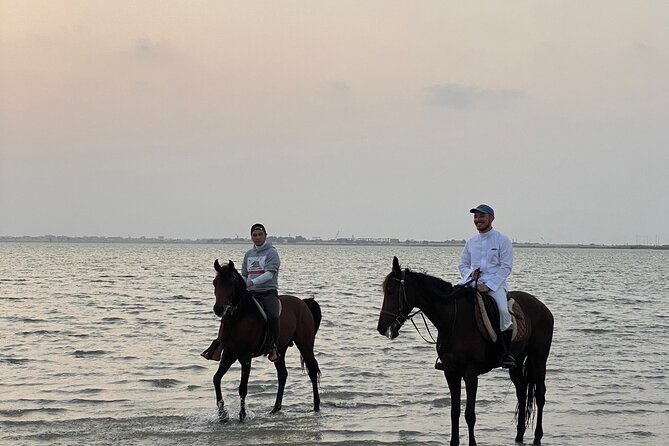 Private Horse Riding Experience at Red Sea - Is $90 a fair price?