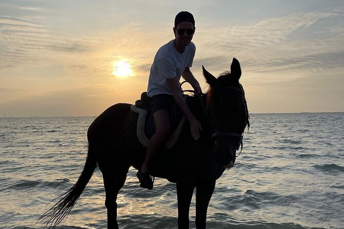 Private Horse Riding Experience at Red Sea - Who will enjoy this ride most?