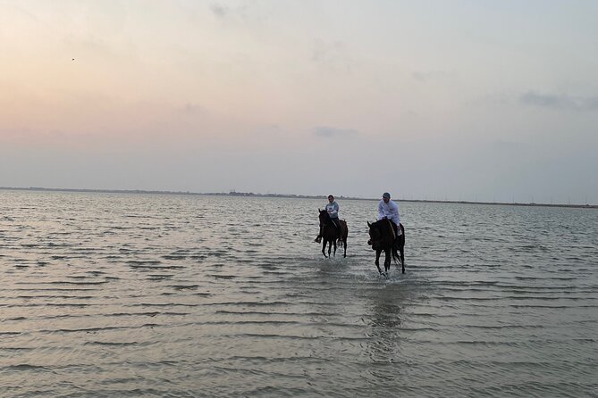 Private Horse Riding Experience at Red Sea - Timing, weather, and cancellation rules