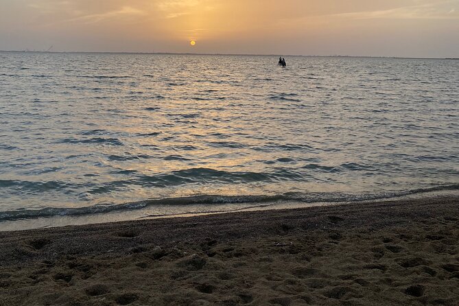 Private Horse Riding Experience at Red Sea - Meeting the horses and getting comfortable