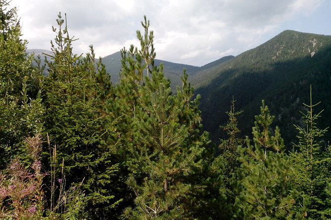 Private Horse Riding in the Balkan from Sofia - What private guiding changes