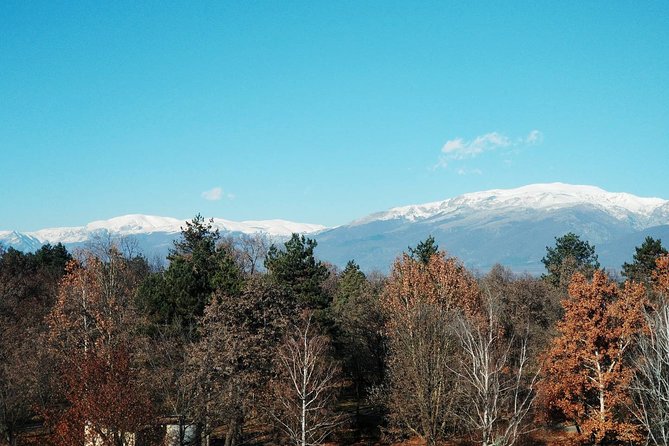Private Horse Riding in the Balkan from Sofia - Horses, equipment, and riding ability