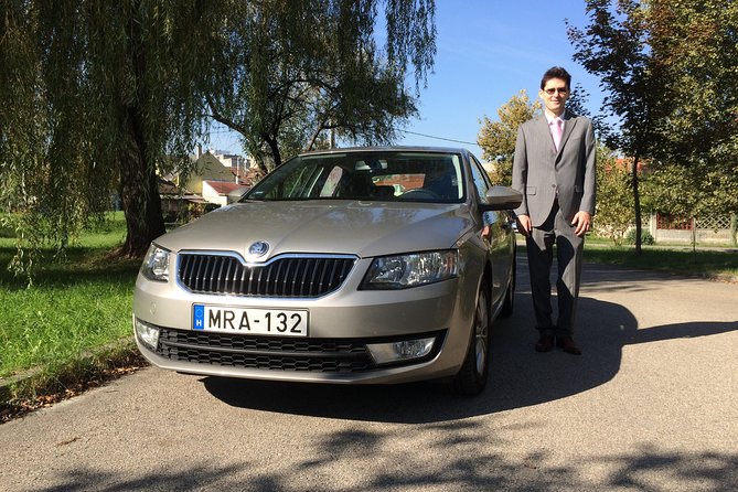 Private Horse Riding near Budapest with transport - Meeting the horse and getting ready