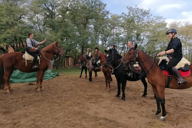 Private Horse Riding near Budapest with transport - Who will enjoy this ride most