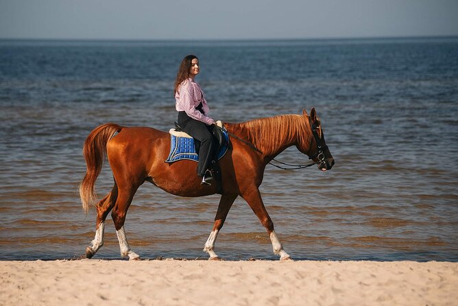 Private Horse Riding on the Beach in Riga - From Riga hotel pickup to the riding yard