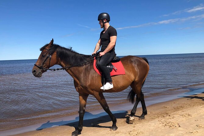 Private Horse Riding on the Beach in Riga - What makes the private format worth the price