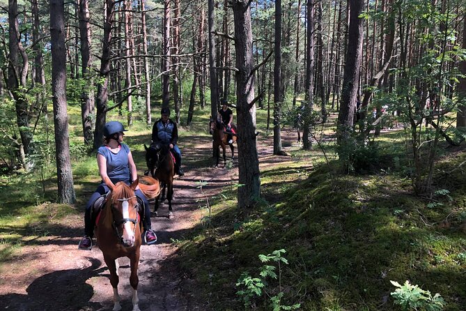 Private Horse Riding on the Beach in Riga - What experienced riders should expect