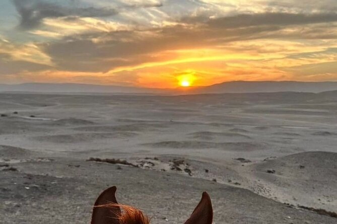 Private Horse Riding Tour in Luxor West Bank - Why horseback riding works so well on Luxor’s West Bank