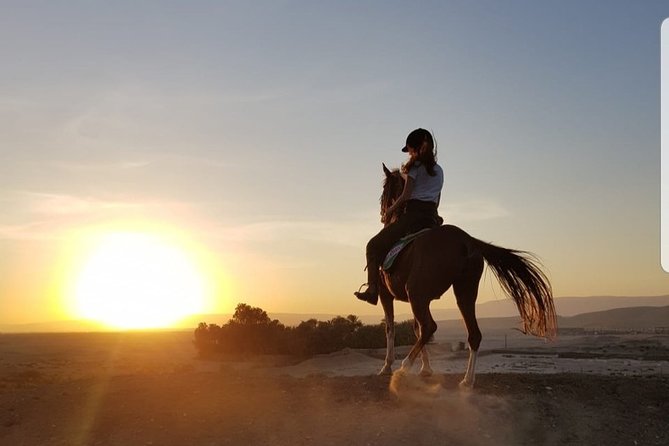 Private Horse Riding Tour in Luxor West Bank - Sunset, desert tracks, and a different mood