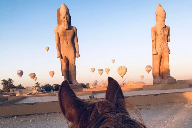 Private Horse Riding Tour in Luxor West Bank - The all-day desert picnic option