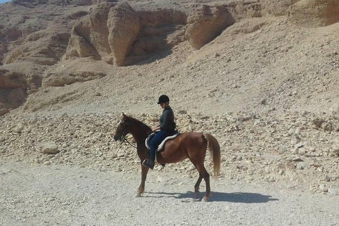 Private Horse Riding Tour in Luxor West Bank - Horses, guides, and what private really means
