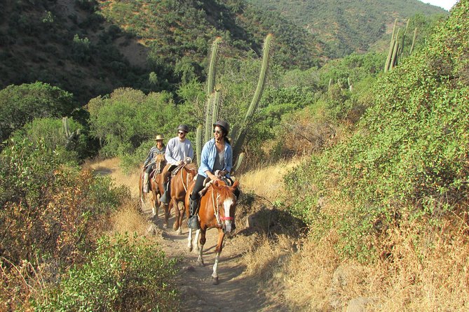 Private Horseback Adventure in the Andes, with Picnic & Wine - From Santiago streets to the Cordillera