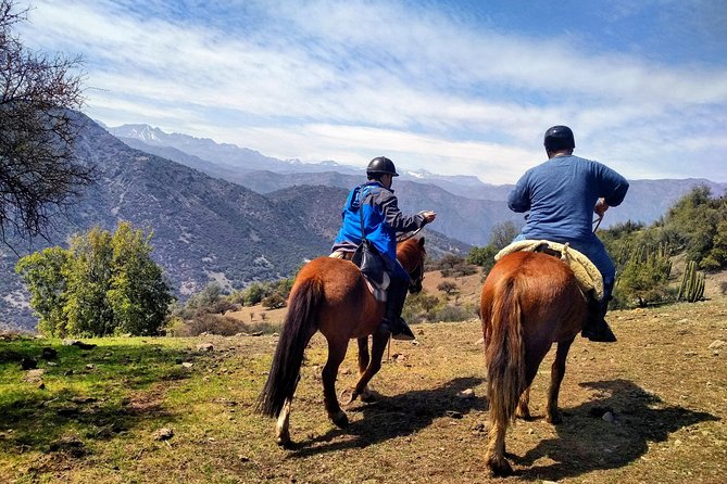 Private Horseback Adventure in the Andes, with Picnic & Wine - Why the Criollo horses help beginners