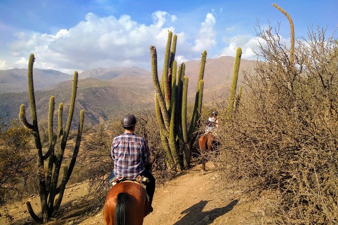 Private Horseback Adventure in the Andes, with Picnic & Wine - Summer sunset and evening options