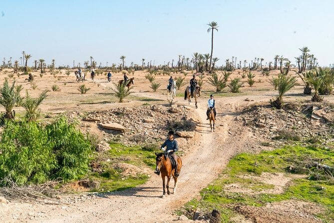 Private horseback ride in the Palmeraie of Marrakech - Key points to know before booking