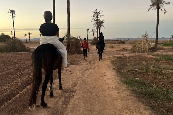 Private horseback ride in the Palmeraie of Marrakech - Mint tea at a Berber house
