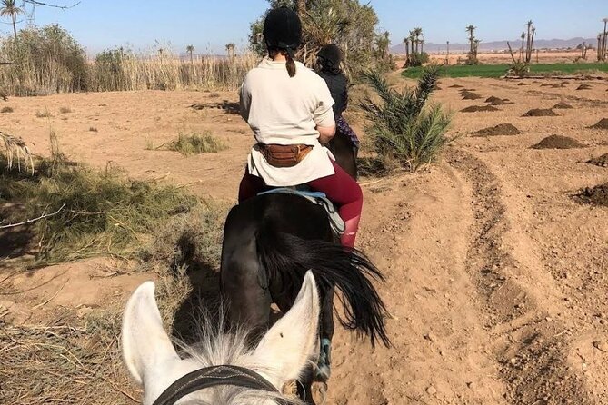 Private horseback ride in the Palmeraie of Marrakech - Who will enjoy this ride most?