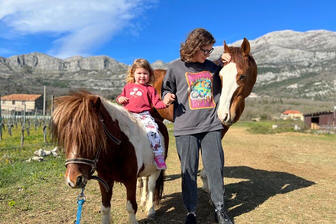 Private Horseback Riding and Family Time in Konavle Region - The picnic break with domestic drinks