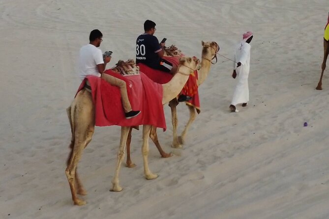 Private Horseback Riding Experience in Doha - Riding into the desert at a comfortable pace