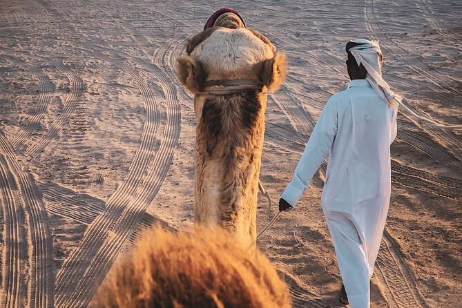 Private Horseback Riding Experience in Doha - Timing, comfort, and small practical choices