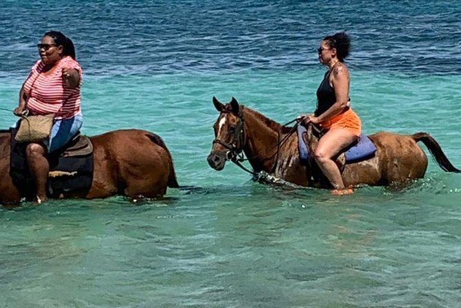 Private Horseback Riding from Ocho Rios with Guide - From Ocho Rios to the riding stable