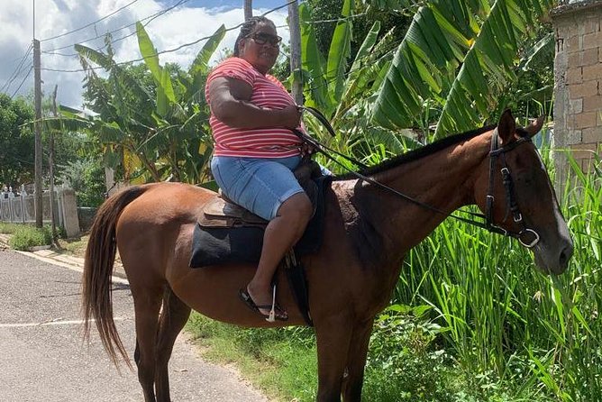 Private Horseback Riding from Ocho Rios with Guide - Riding through rural Jamaica