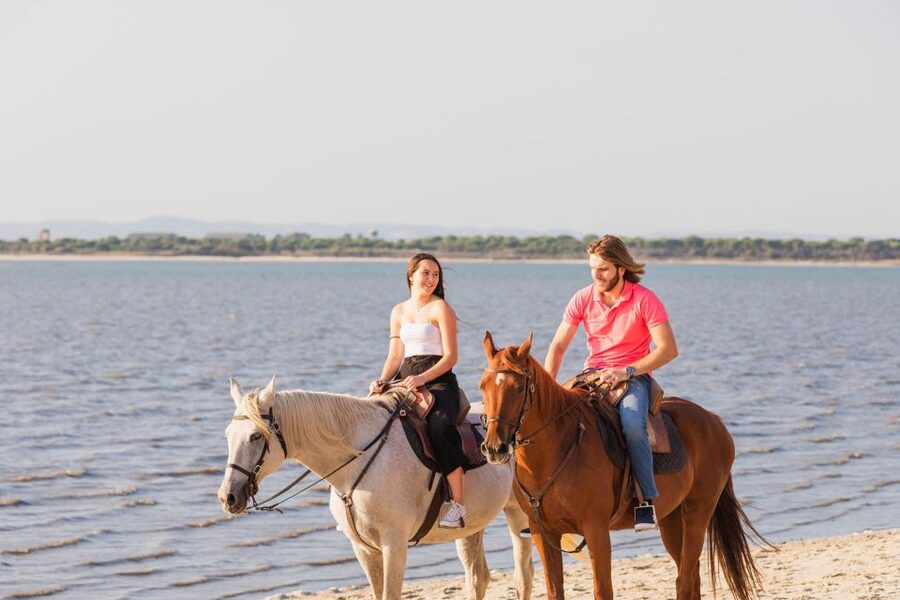 PRIVATE Horseback Riding On The Beach - From Pátio do Tejo to the shore