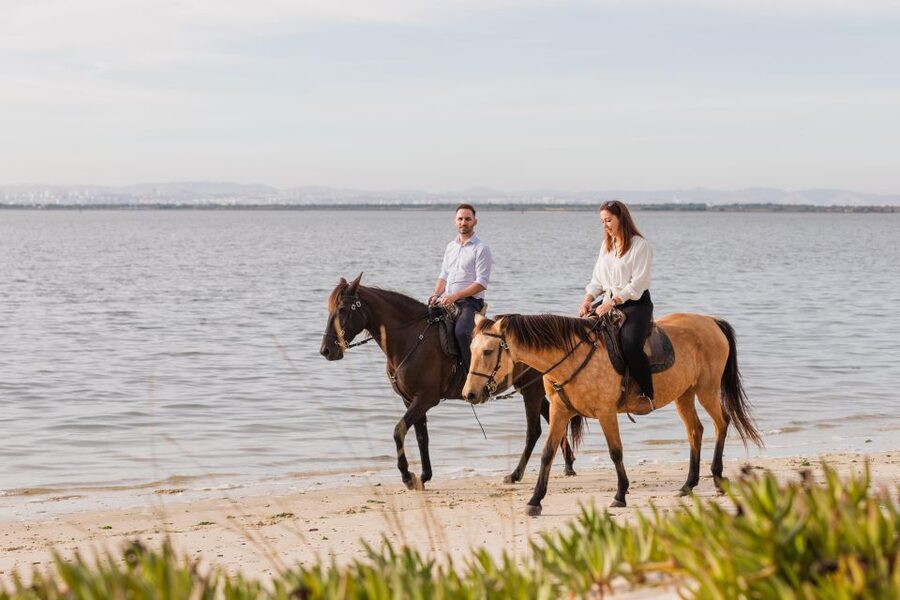 PRIVATE Horseback Riding On The Beach - A private ride for different skill levels