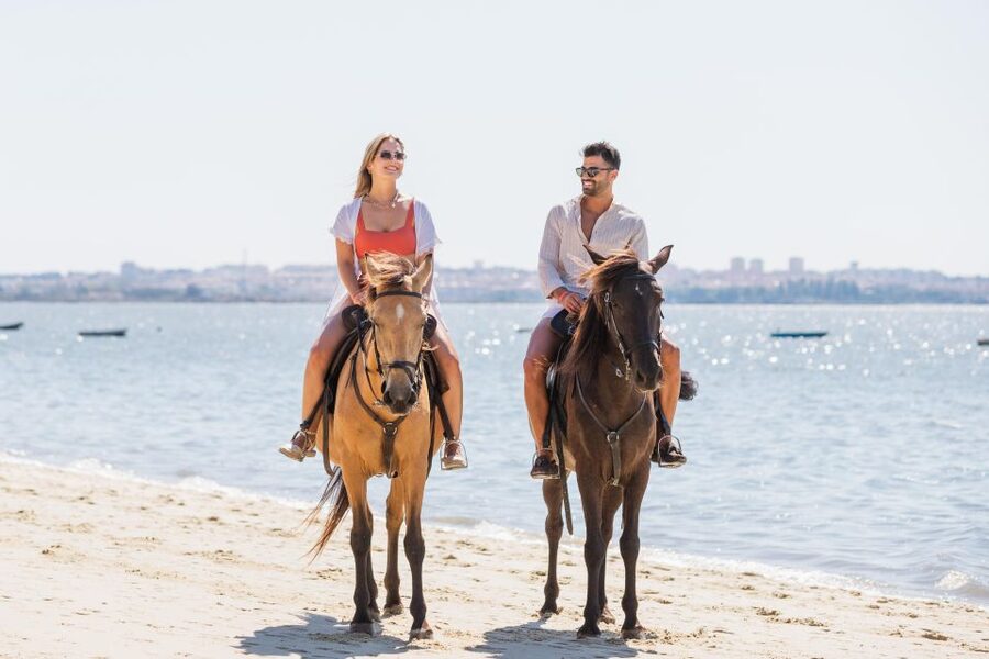 PRIVATE Horseback Riding On The Beach - Is $235 per person fair value?