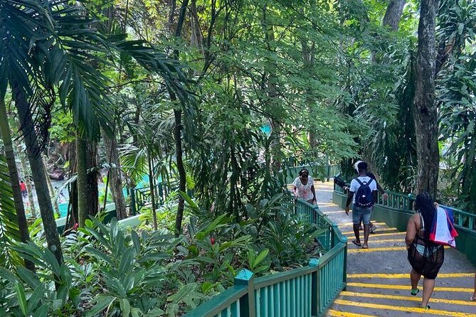 Private Horseback Riding, Swimming and Dunn's River Falls Tour - Choosing a horse and riding toward the sea
