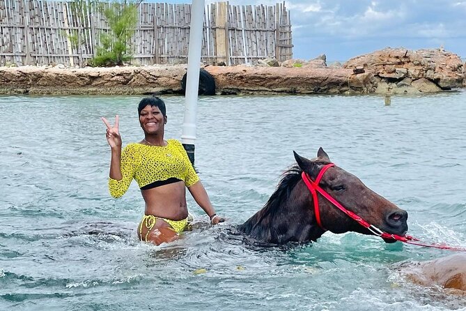 Private Horseback Riding, Swimming and Dunn's River Falls Tour - Is $240 per person fair?