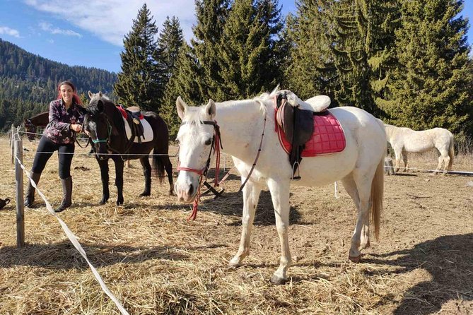 Private Horseback Riding the Rila Range - Leaving Sofia for Iskar Reservoir