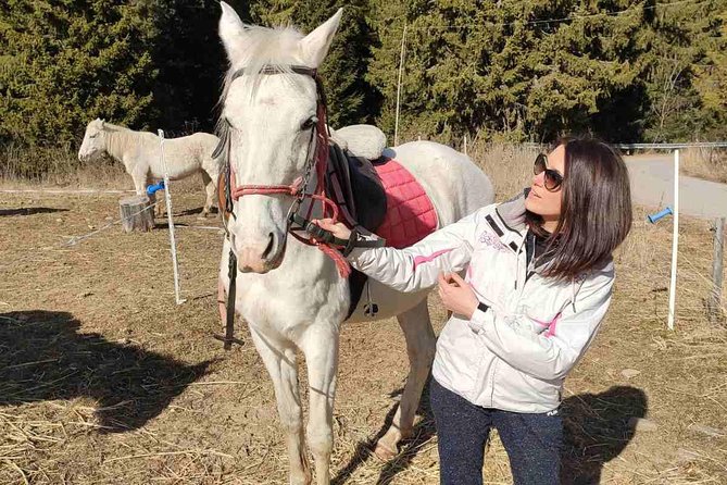 Private Horseback Riding the Rila Range - Is $140.83 a fair price?