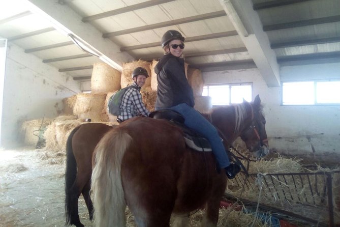 Private Horseback Riding Tour on Etna Area + Traditional Lunch - Is $349.63 per person good value?