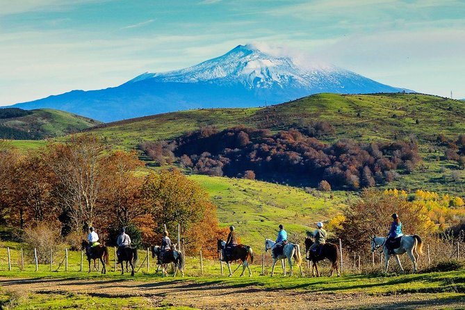 Private Horseback Riding Tour on Etna Area + Traditional Lunch - Who should book this Etna horseback tour?