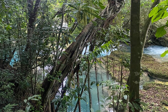 Private Horseback Riding with Blue Hole River Tour in Montego Bay - From Montego Bay roads to Discover Bay’s beach