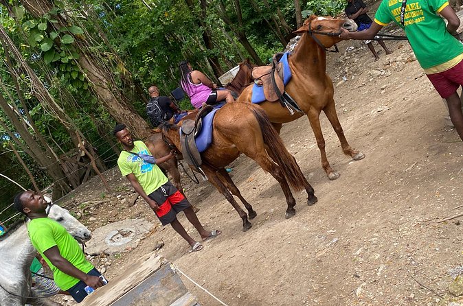 Private Horseback Riding with Blue Hole River Tour in Montego Bay - Why the private format changes the value