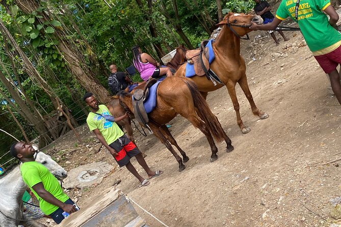 Private Horseback Riding with Blue Hole River Tour in Montego Bay - What the $80 price covers