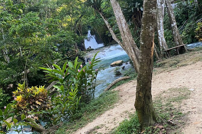 Private Horseback Riding with Blue Hole River Tour in Montego Bay - How the guides and drivers affect your day