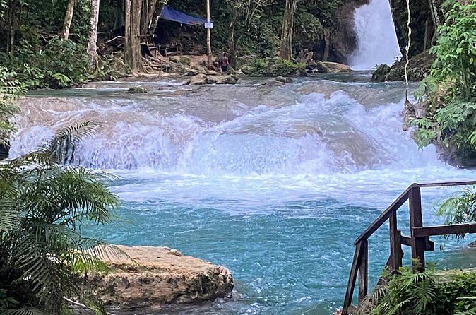 Private Horseback Riding with Blue Hole River Tour in Montego Bay - Who should book this Montego Bay outing
